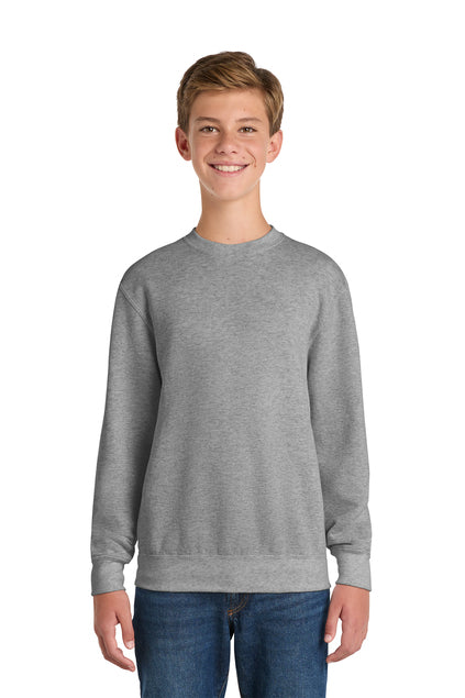 Youth Crewneck Sweatshirt