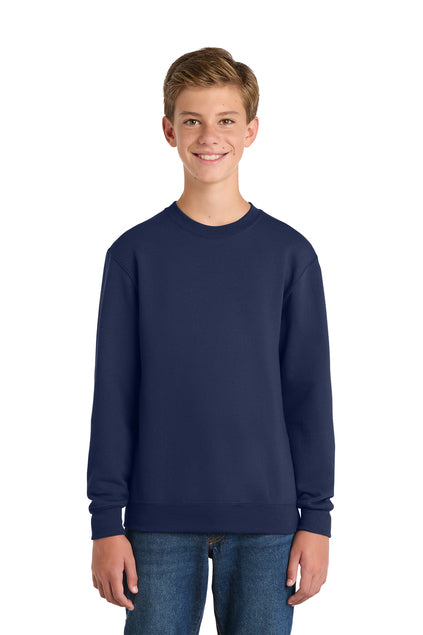Youth Crewneck Sweatshirt