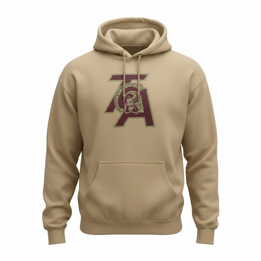 Thornton Academy Hooded Sweatshirt