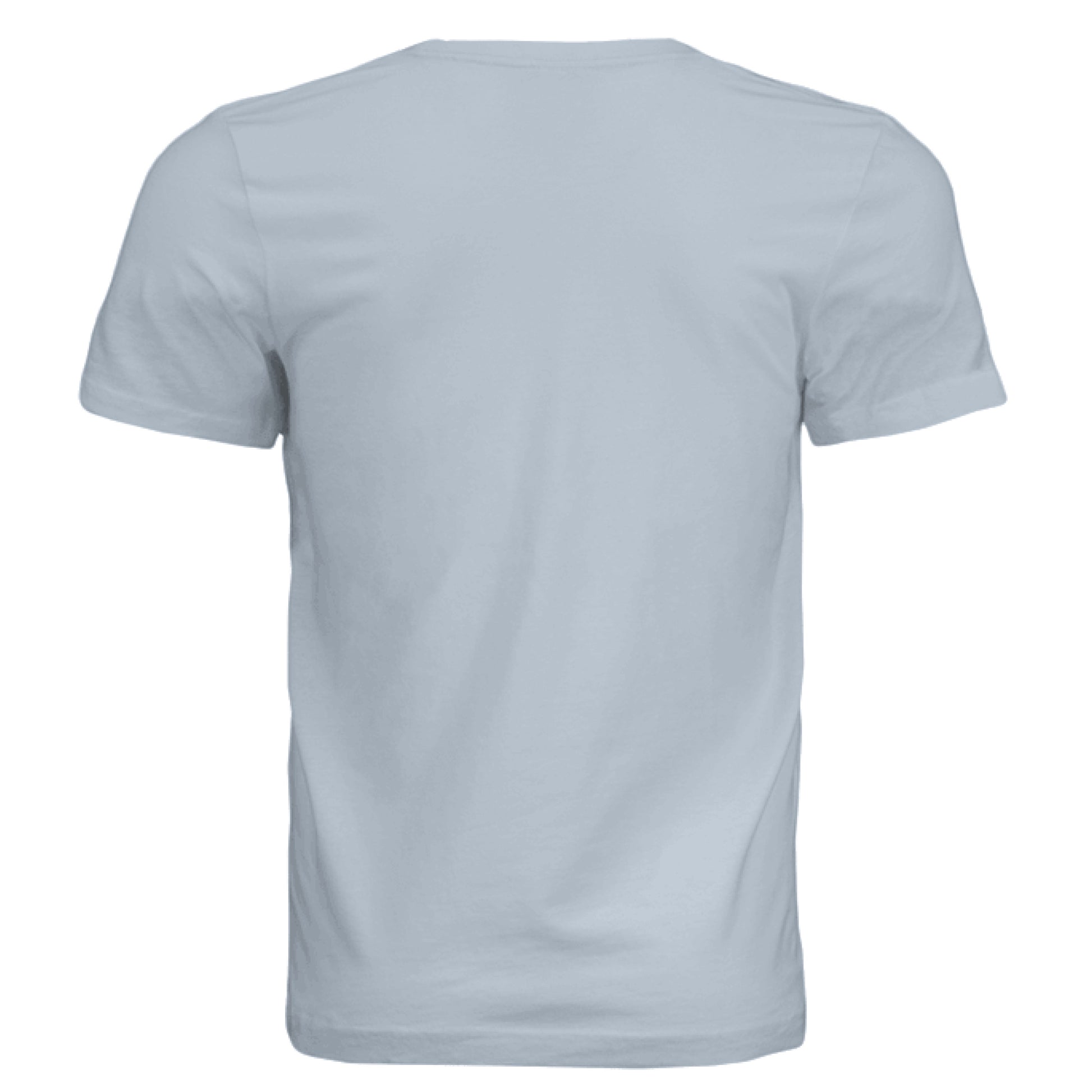 Solid Carolina Blue Triblend - BACK
