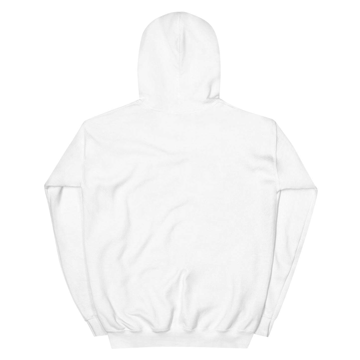 Unisex Hoodie with BRCOT Logo and Sleeve Logo
